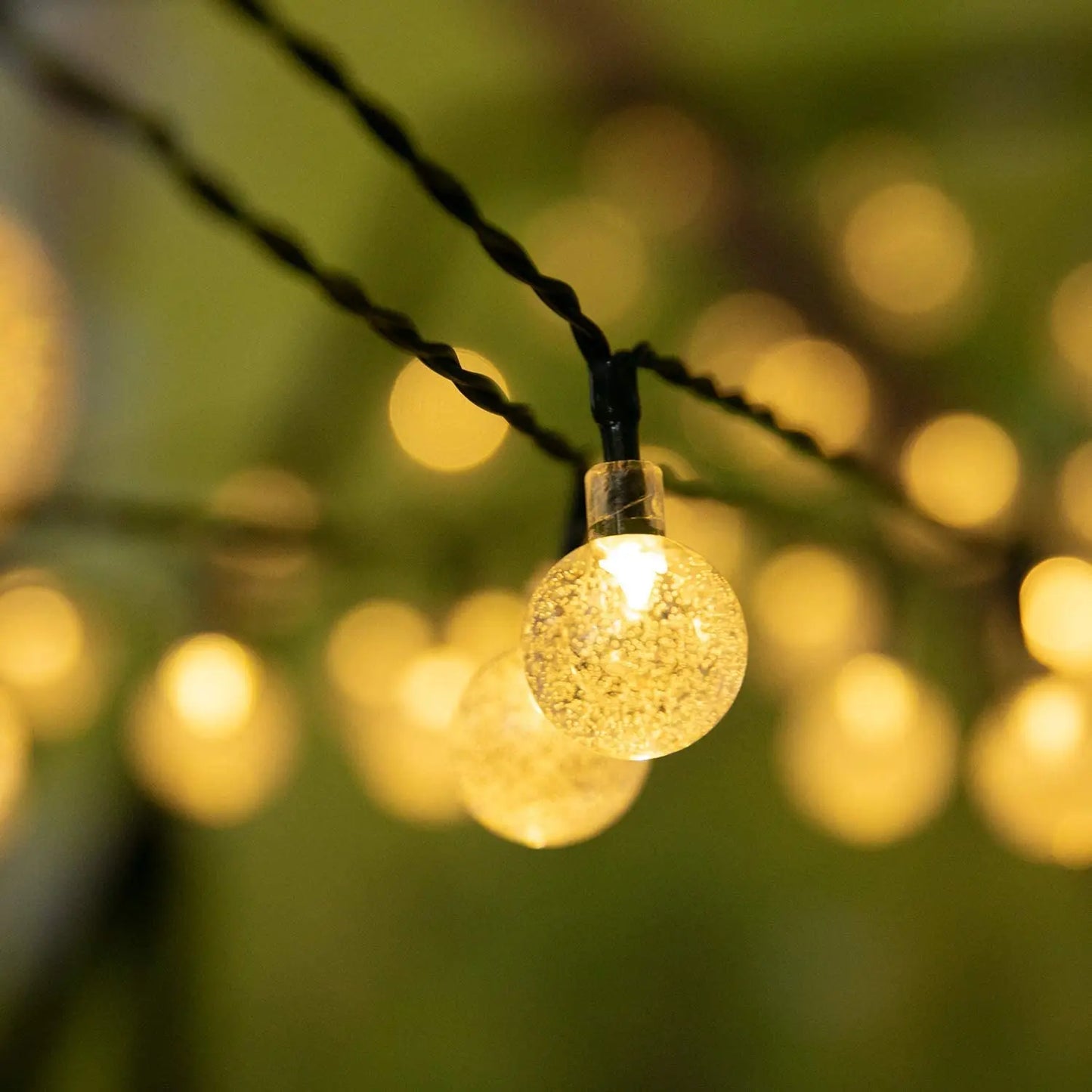 String of decorative lights with a blurred green background