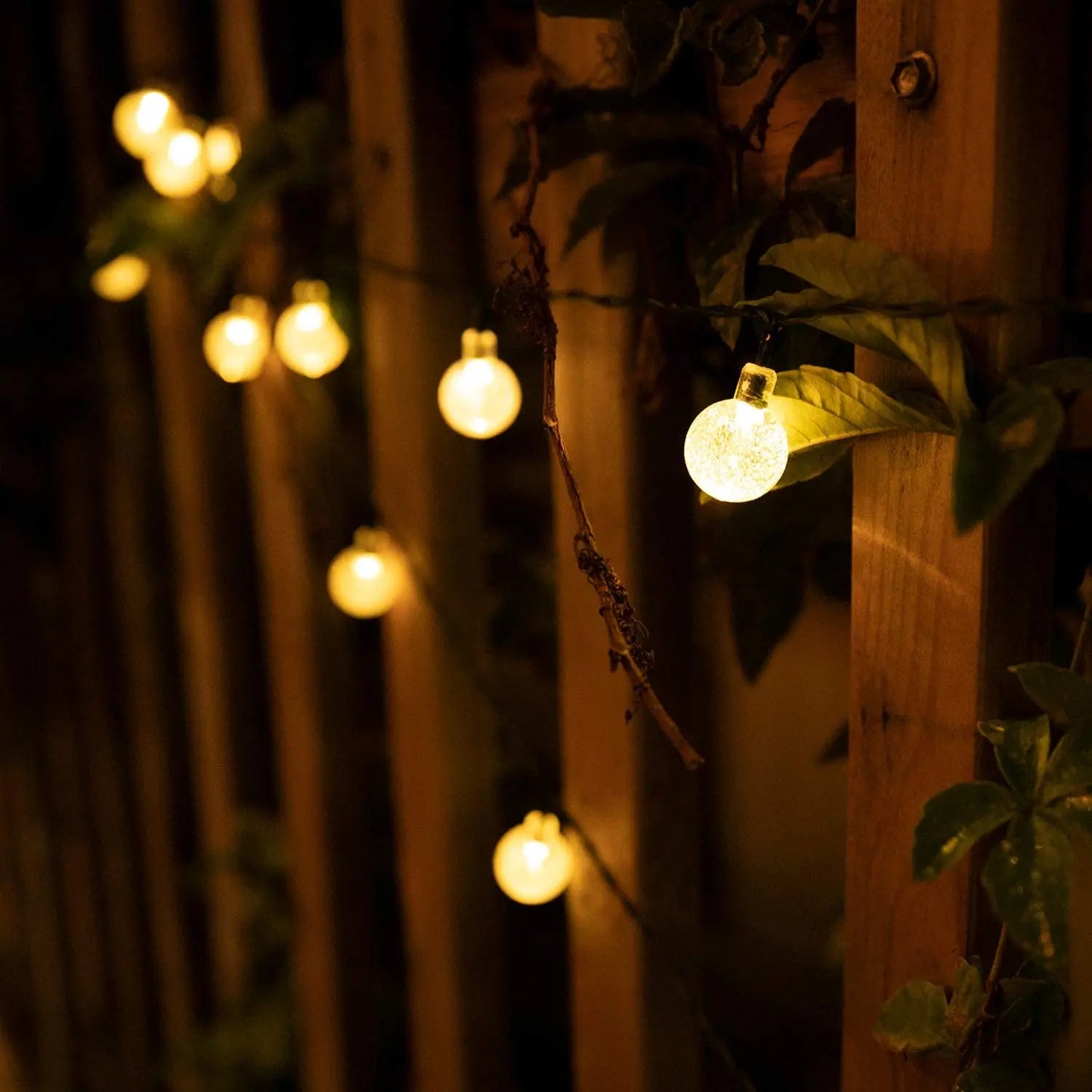 String of illuminated light bulbs hanging against a wooden fence with foliage.