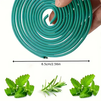 Teal silicone band with dimensions and images of green herbs below